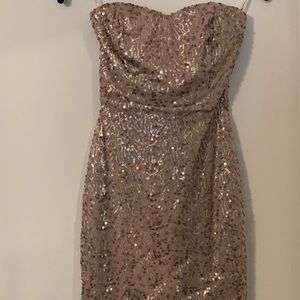 Sparkly Body Con Dress